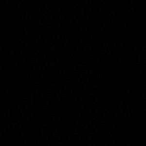 Meet your Posher, Josie